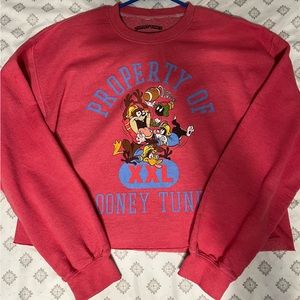 Forever 21 cropped sweatshirt